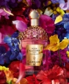 GUERLAIN AQUA ALLEGORIA FLORABLOOM FORTE EAU DE PARFUM FRAGRANCE COLLECTION