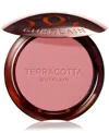Guerlain Terracotta Powder Blush