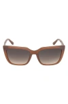 Guess 55mm Square Sunglasses In Light Brown/gradient Brown
