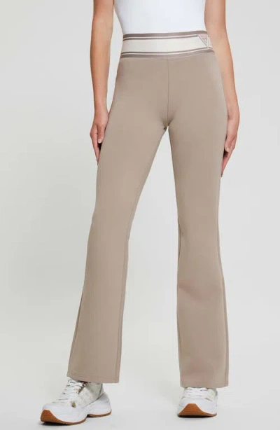 Guess Anna Logo Pants In Weathered Grey