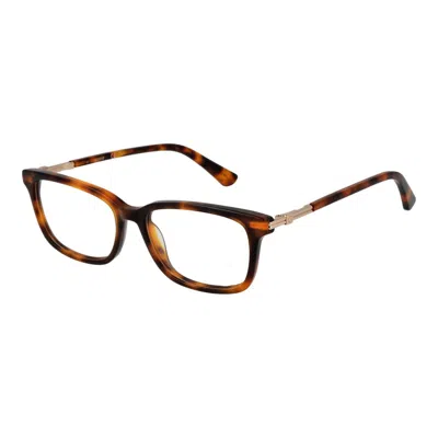 Guess Brown Acetate Glasses Women's (frames)