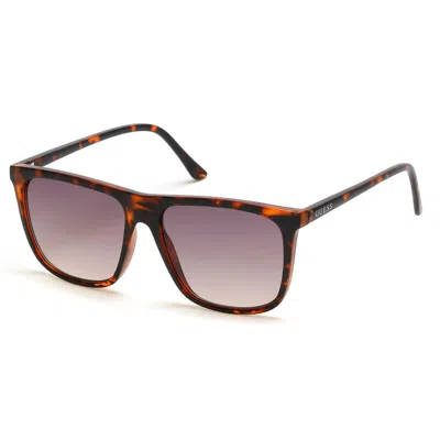 Guess Brown Resin Sunglasses In Black