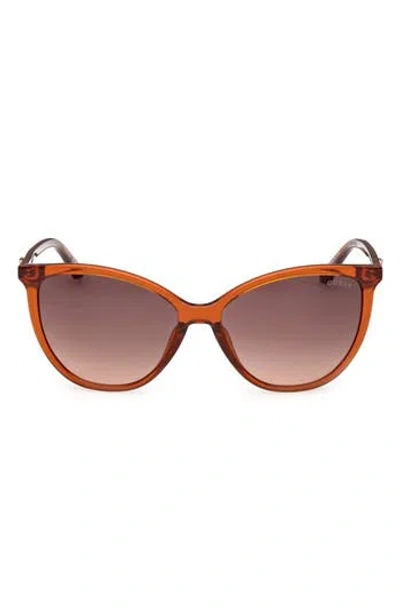 Guess Cat Eye Sunglasses In Brown