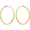 Guess Cubic Zirconia Hoop Earrings In Goldtone