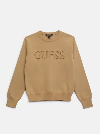 Guess Factory Kids' Astero Logo Sweater (7-16) In Brown