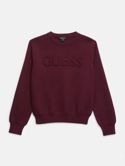 Guess Factory Kids' Astero Logo Sweater (7-16) In Burgundy
