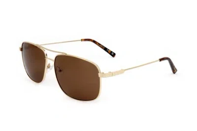 Guess Factory Brown Navigator Men's Sunglasses Gf0205 32e 59
