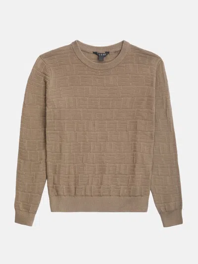Guess Factory Kids' Pedro Jacquard Crew Sweater (7-16) In Brown