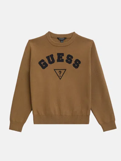 Guess Factory Kids' Phoenix Crewneck Sweater (7-16) In Brown