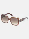 Guess Factory Two-tone Square Plastic Sunglasses In Brown