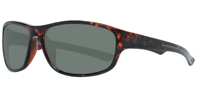 Guess Gf0210 52n Women's Sunglasses Tortoiseshell Size 62 In Black
