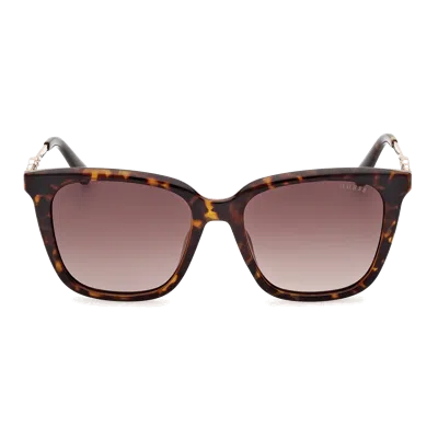 Guess Gu7886/s Sunglasses In Brown