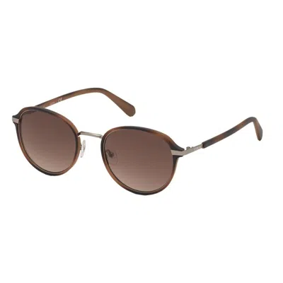Guess Ladies' Sunglasses  Gu00031 Gbby2 In Brown