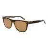 Guess Brown Men Sunglasses In Brown