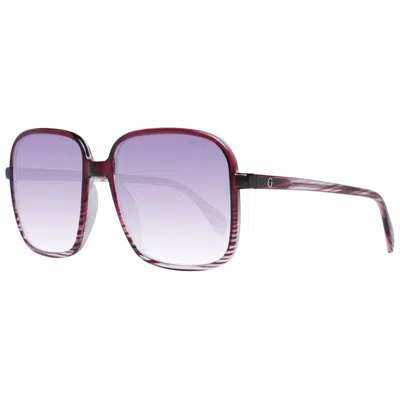 Guess Purple Women Sunglasses In Red