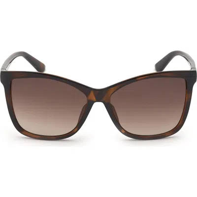 Guess Square Sunglasses In Brown