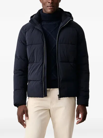 Guess Usa Hooded Padded Jacket In Blue