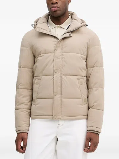 Guess Usa Hooded Puffer Jacket In Neutral