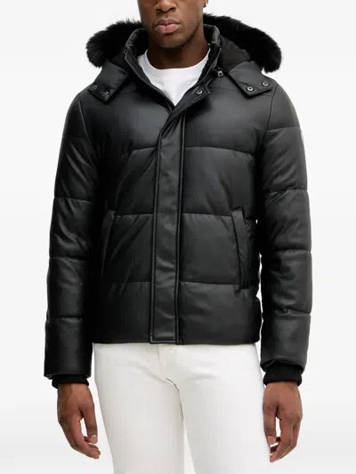 Guess Usa Llong-sleeve Hooded Jacket In Black