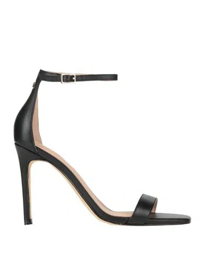 Guess Woman Sandals Black Size 8 Leather