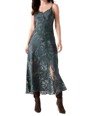 Guess Women's Vivian V-neck Paisley Lace Dress In Black