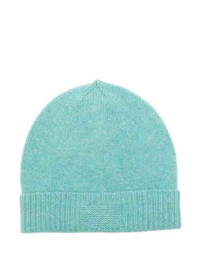 Guest In Residence Ribbed Beanie In Green