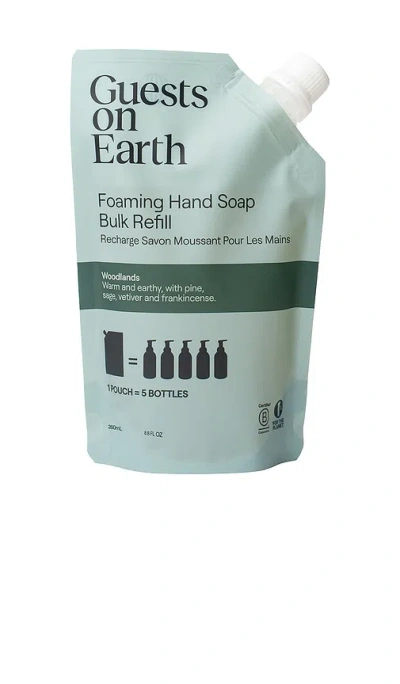 Guests On Earth All Purpose Cleaner Bulk Refill In Green