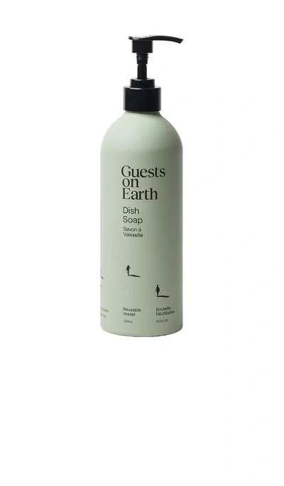 Guests On Earth Dish Soap Full Bottle In Green