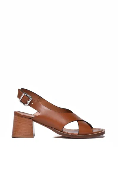 Guglielmo Rotta Leather Strap Sandal - Brown