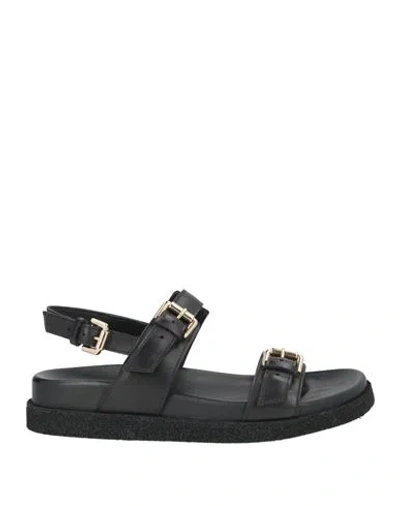 Guglielmo Rotta Woman Sandals Black Size 7 Leather