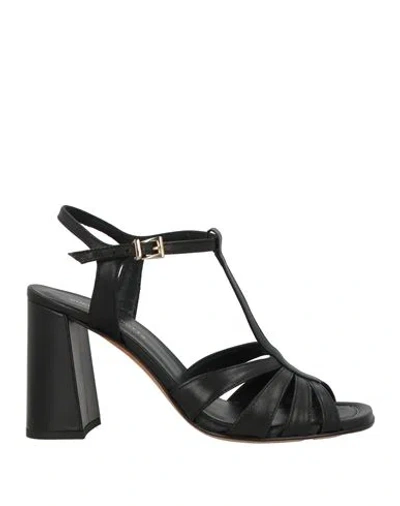 Guglielmo Rotta Woman Sandals Black Size 8 Leather