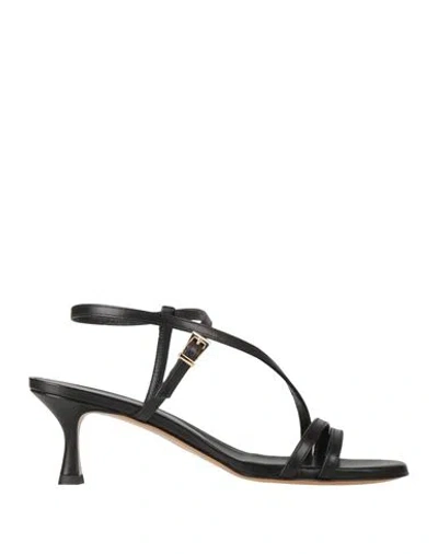 Guglielmo Rotta Colibrì Sandals In Black