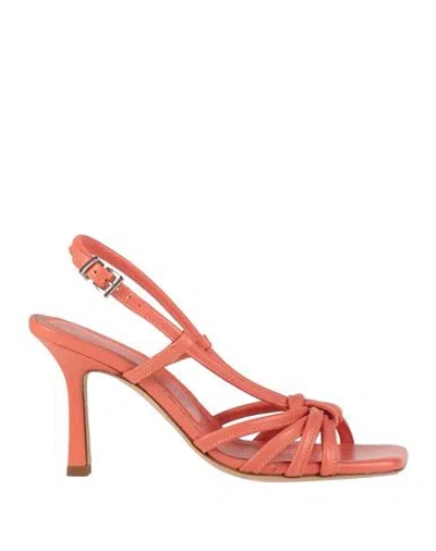 Guglielmo Rotta Woman Sandals Coral Size 7 Leather In Orange