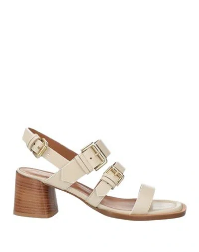 Guglielmo Rotta Woman Sandals Ivory Size 7 Leather In White