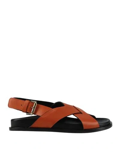 Guglielmo Rotta Woman Sandals Orange Size 7 Leather