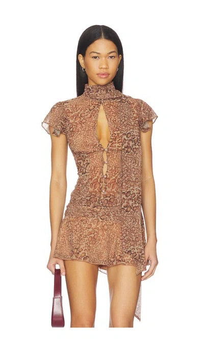 Guizio Ara Top In Brown