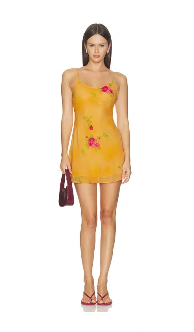 Guizio Danni Mini Dress In Orange