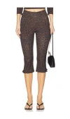 Guizio X Revovle Caria Capri Printed Mesh Pants In Leopard Ombre