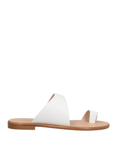Guja Milano Woman Thong Sandal White Size 8 Cowhide In White