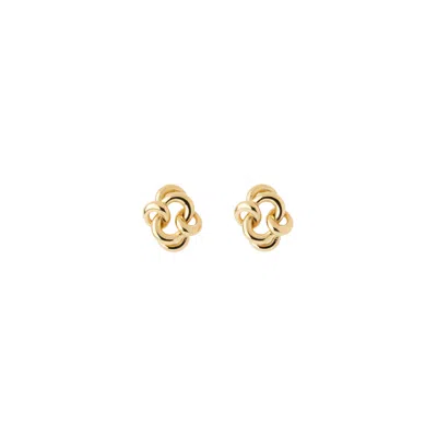 Gutta Design Women's Knot Earring Gold Plated