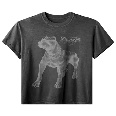 Pre-owned Gv Gallery Doghouse Tee 'black' | Men's Size Xl