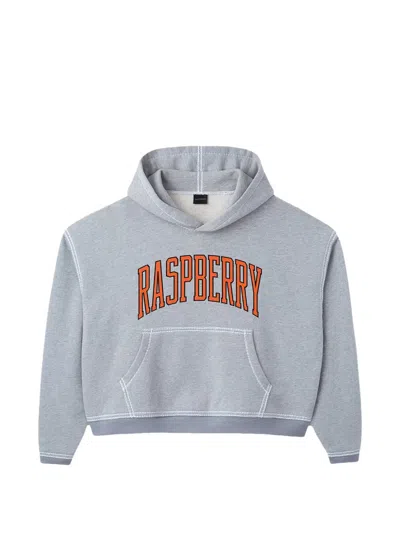 Gv Gallery Sf Crop Hoodie In Grau