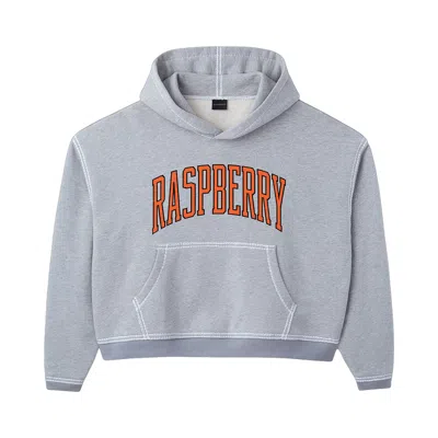 Pre-owned Gv Gallery Sf Hoodie 'heather Grey' | Men's Size Xs In Gray
