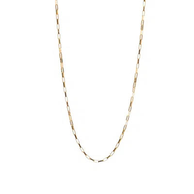 Gwen Beloti Jewelry Women's Gold Everyday Linked Necklace