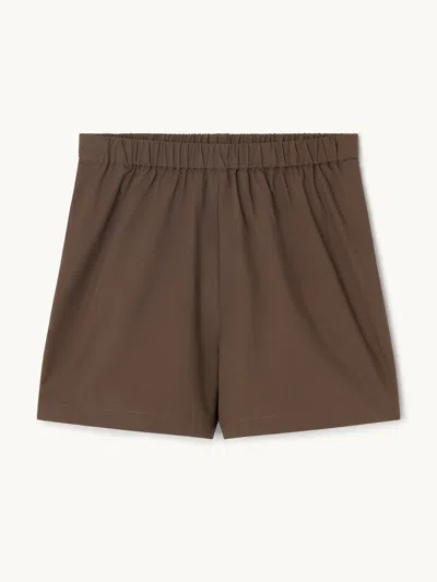 Gwyn Goop  Teddy Short | Ash Brown | Size Xl