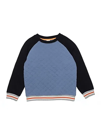 Pre-owned Gymboree Kids' Pullover Sweater In Blue