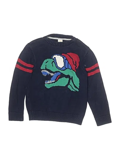 Pre-owned Gymboree Kids' Pullover Sweater In Blue