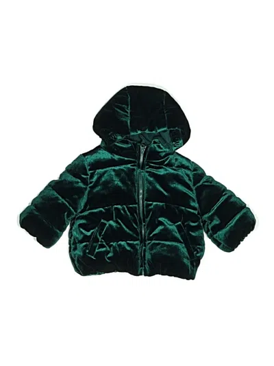 Pre-owned Gymboree Babies' Snow Jacket In Blue