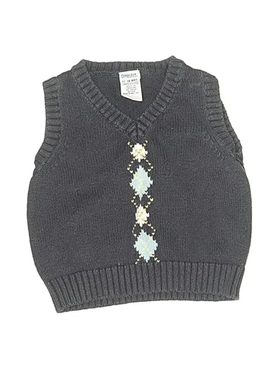 Pre-owned Gymboree Kids' Sweater Vest In Gray