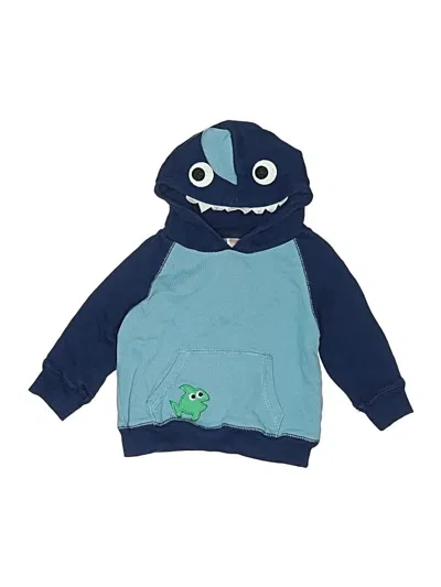 Pre-owned Gymboree Kids' Sweatshirt In Blue